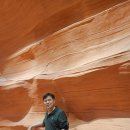 그랜드게임랜드 이미지