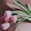 군위한의원 이미지