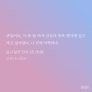 BL(비엘) 이미지