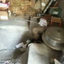 남지부동산 이미지