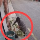 카페1088 이미지