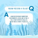바다멋쟁이