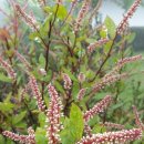 (주)나무 이미지