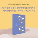 삐삐언니 이미지
