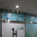 편백수소테라피