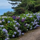 채움의료재단 이미지