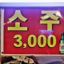 오징어세상 이미지