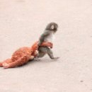 아,귀여워 이미지