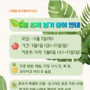 초록글씨