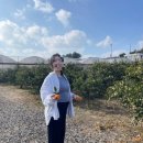 아이요트민박 | 제주도 임신 26주차 (태교) 여행