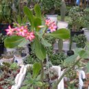 양재시장 이미지