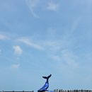 전망대 이미지