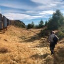 고산태양광발전소 이미지