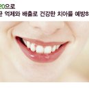 프라임덴탈 이미지