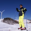 대관령 사파리 목장 이미지