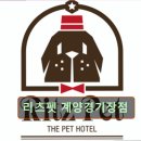 인천광역시 계양경기장 인천국제벨로드롬 | 인천 애견카페 강아지 동반 리츠펫 계양경기장점 리츠펫, 동물 친화적인 카페