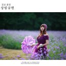 함양-9 이미지