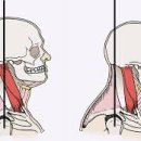 메디스포츠 이미지
