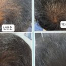 숲칼프 쌍문역점