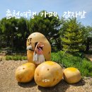 신샘밭로 L 네이버블로그