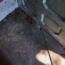 개미치킨 | 개미 퇴치 퇴치약 바꿔도 안 잡히던 이유