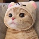 이음과외