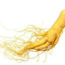 네추럴존 이미지