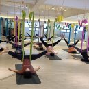 카이로스 필라테스 이미지