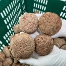 중하농장 이미지