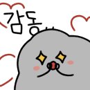 헬로우보일링크랩 이미지