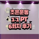 조은차 | 인천논현피티 조은운동에서 6회차 피티 받은 후기