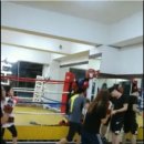 산본미래권투