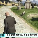 [GTA] 과격한 게임 치곤 슬픈 이스터에그인 공동묘지의 강아지 이미지