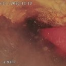 증평2산단로 네이버블로그