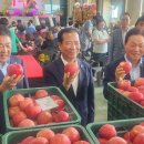 청과물처리장 이미지