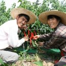 왕인농장 이미지