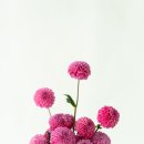 어스디자인스튜디오 이미지