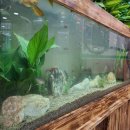 서울새롬학교 이미지