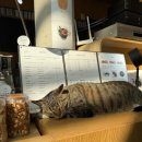 카페 루버월(Cafe Louverwall) 이미지