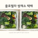 농부의 꿈 이미지