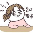 홈앤카 이미지