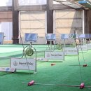 Spring Palace(스프링 팰리스) 이미지