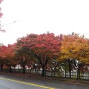 삼국통일의 주역들을 뵈옵다! - 경주 갯보산(216.6m)~선도산(380.6m)~옥녀봉(233.3m)~큰갓산(217.4m)~송화산(158.2m) 이미지