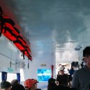 한국맥도날드유한회사가야점 | (여행) 회사 워크샵으로 냄새만 맡고 온 “ 보라카이 3박 4일 ” 후기! 1부 / feat. 10시간 이동