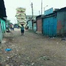 괴력의 사나이 이미지