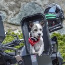 카페모토라드 이미지