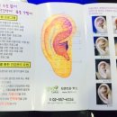 귀를 통한 건강관리 이미지