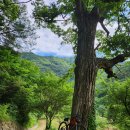 GS25 홍천두촌점 이미지