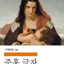 [민음사 고전문학] 주홍글자 독서후기