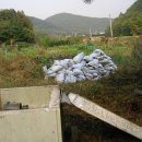 시진농장 이미지